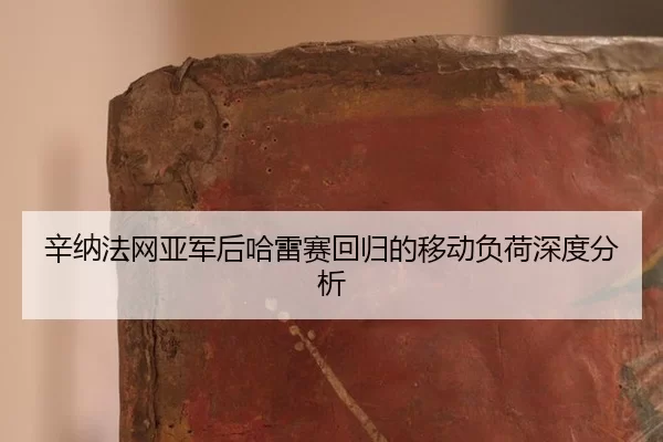 辛纳法网亚军后哈雷赛回归的移动负荷深度分析